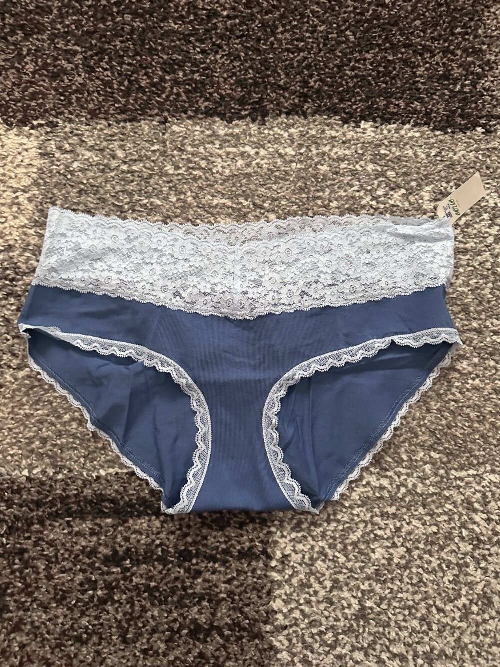 AERIE (L) Blue Superchill Vintage Lace Cotton Boybrief Underwear Panty Hipster